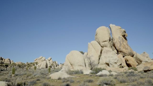 Sky, Sand, and Champagne in Palm Springs/Joshua Tree