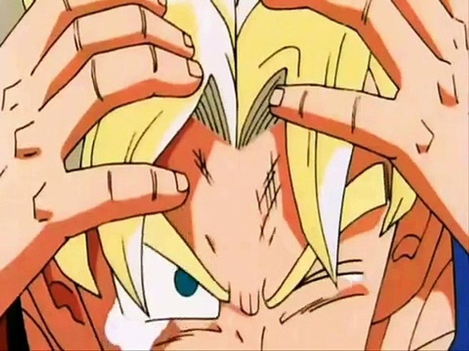 Goku and Vegeta Final-Kamehameha