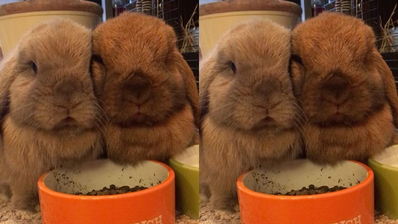 Cheeks