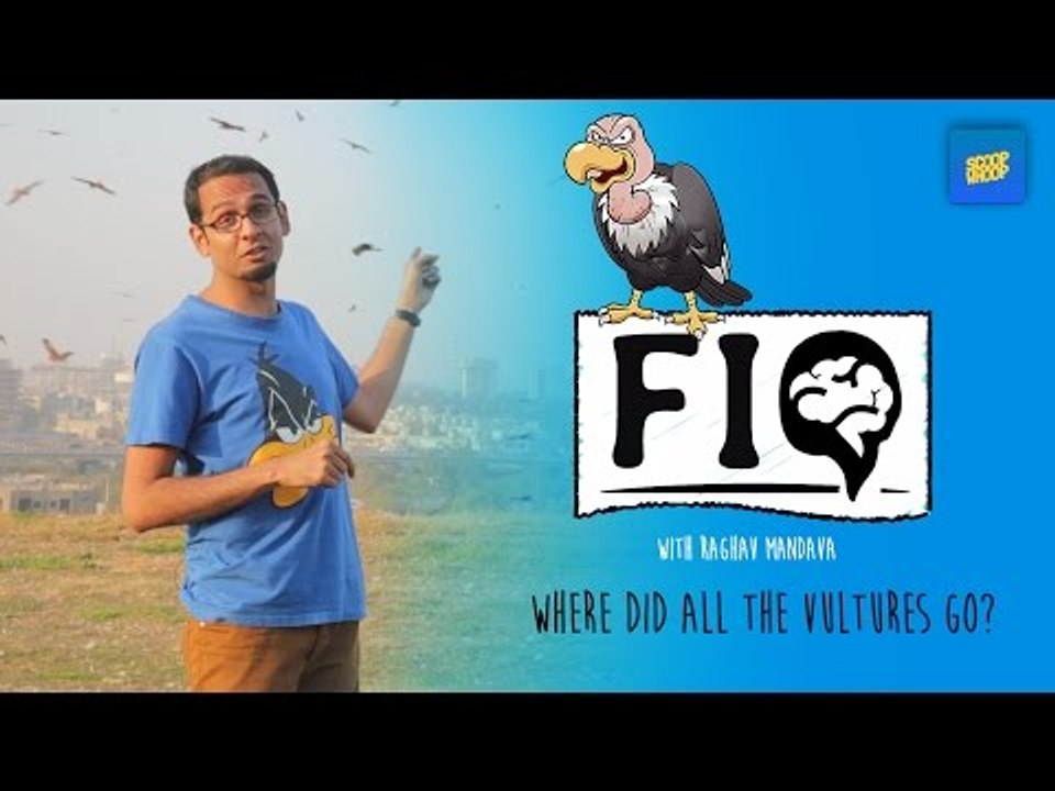 ScoopWhoop:  - Frequently Ignored Questions with Raghav Mandava (Ep. 3)
