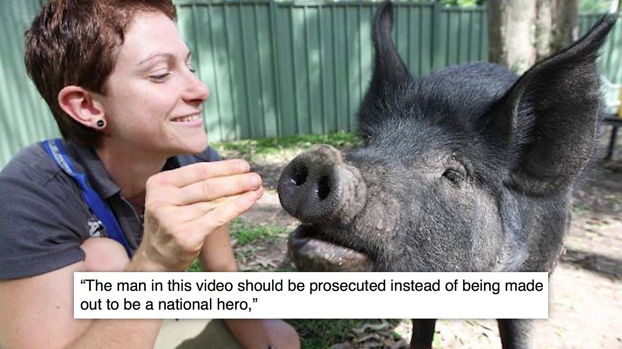 GUESS WHAT THEY'RE BANNING FROM THE INTERNET! So Stupid...