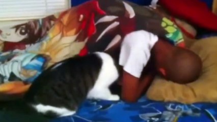 Owner Gets Vengeance On His Cat