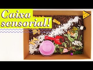 Descubra Como Criar uma Caixa Sensorial para estimular o Desenvolvimento Infantil 🧸