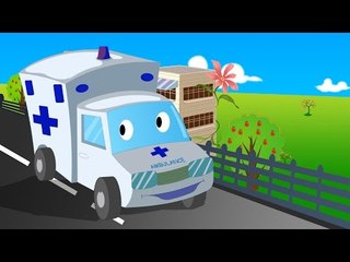 Ambulance | Formation and uses