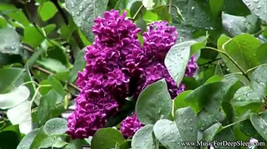 I Love Nature