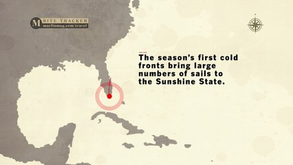 Where the Bite Is: December / January