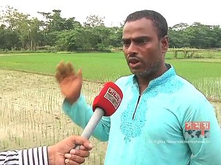 সিলেটে শতভাগ জমি আবাদের আওতায় আনতে পতিত জমিতে চাষাবাদ