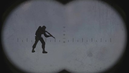 Dealing with mutants, STALKER style...