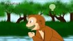 The Monkey & The Crocodile - Tele Toons - English
