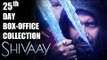 Ajay Devgns Shivaay To Enter 100 Crore Club | SHIVAAY 25th Day Collections