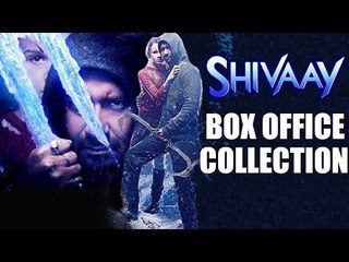 SHIVAAY Box Office Collection: Latest Bollywood Revenue Updates 💥