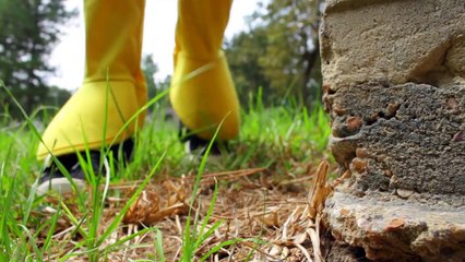 The Flash vs Batman vs Evil Superman RED THING superhero real life movie fun comics SuperHero Kids