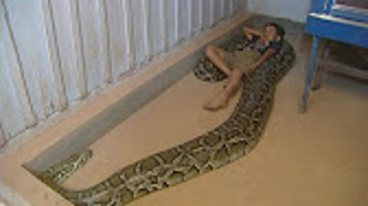 ---Allah ki Qudrat !!! Allah ki Shaan !!!  سُبحَانَ اللّهِ وَ بِحَمْدِهِ ، سُبحَانَ اللّهِ الْعَظِيمِ - YouTube