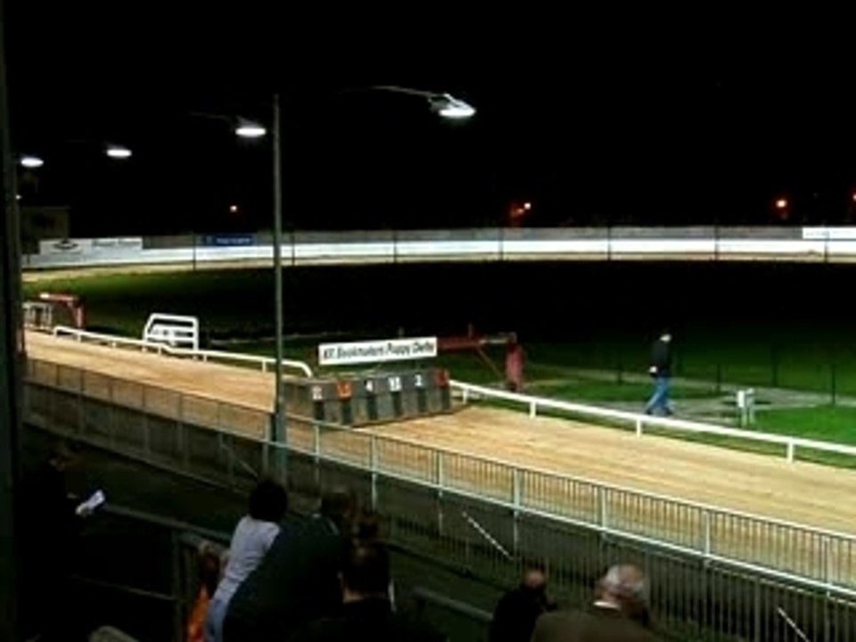 Course de lévrier