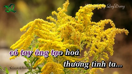 Lính Dù Lên Điểm | Đoàn Phi - Ánh Minh | Karaoke Beat HD