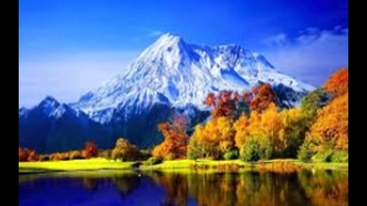 Beautiful nature -