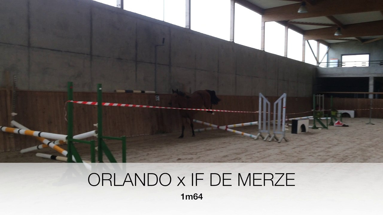 Dallas KAREF, novembre 2016