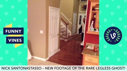 Best Vines of All Time Vine Compilation - Funny Vines 2016