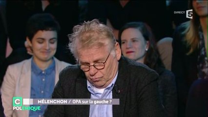 Daniel Cohn-Bendit tacle Mélenchon : "Les Rolling Stones ramènent plus de gens lui"