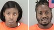 Animal cruelty: couple arrested for ordering their dogs to attack wild animals