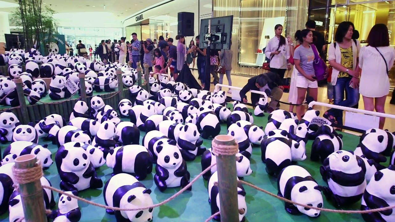 Talui Party Pandas