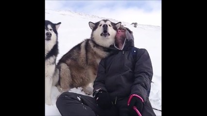Lui il aime ses chiens et ses chiens le lui rendent bien!