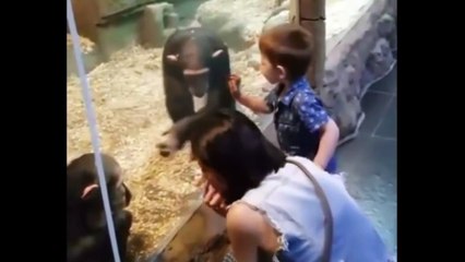 حيوانات طريفة