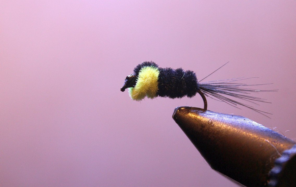 la montana nymph