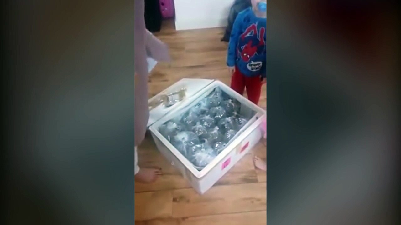 MOTHER BUYS A TABLE from eBay, but SEE what just she received :)