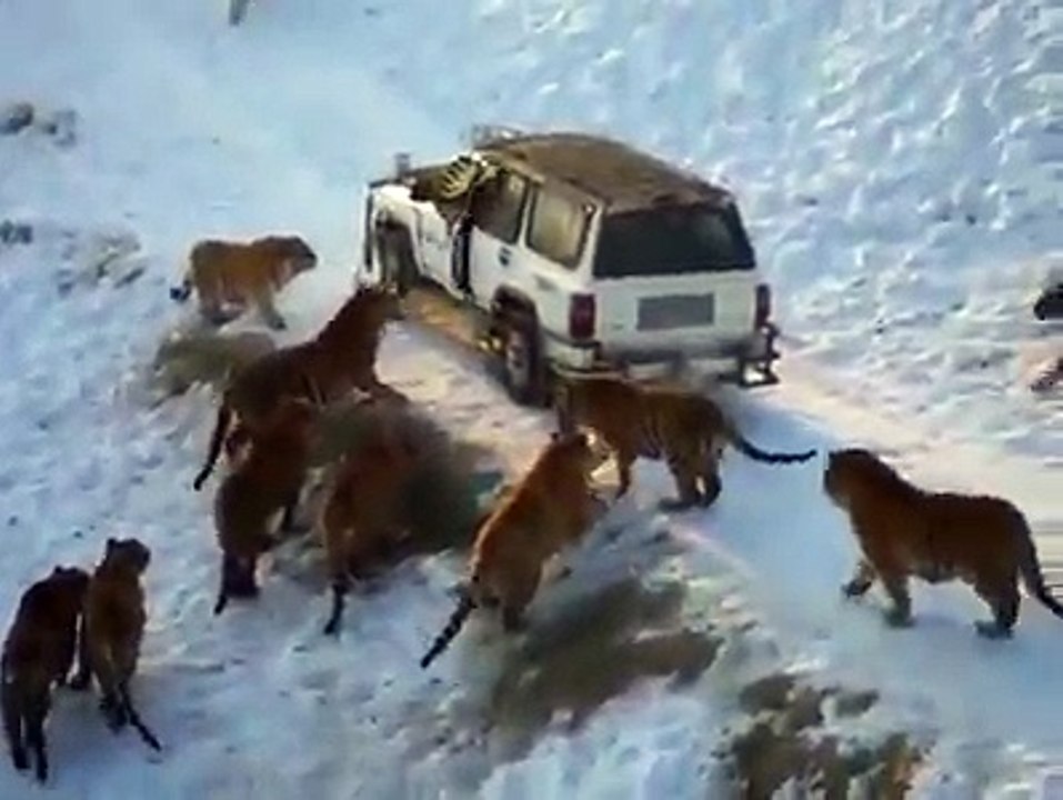 ممنوع على القلوب الضعيفة