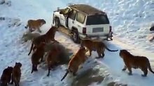 ممنوع على القلوب الضعيفة