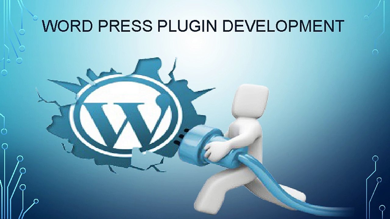 WordPress Plugin Development Company