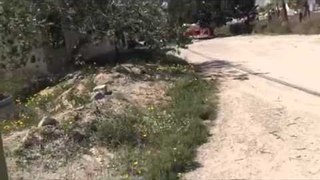 Spain vlog #2 I fell of my bike