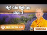 Ngũ Căn Ngũ Lực phần 2 - Pháp thoại DD Thích Thiện Xuân