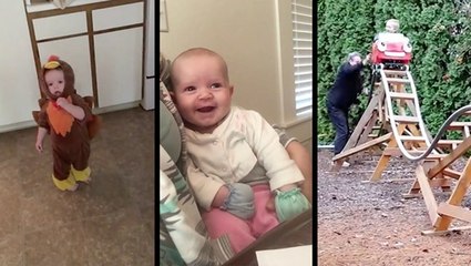 Turkey Goes &apos;Crash&apos;, Baby&apos;s First Laugh & DIY Backyard Roller Coaster