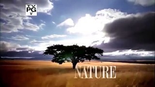 National Geographic Documentary About The Nature