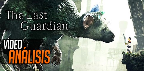 The Last Guardian, Video Análisis