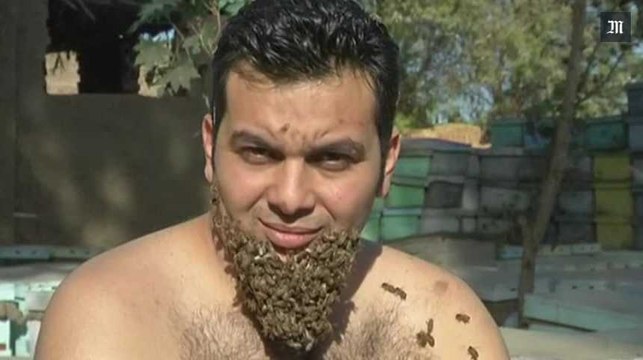 Biodiversité : un apiculteur égyptien se fait pousser une barbe d’abeille