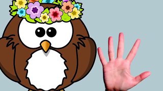 Owl Finger Family Song | Nursery Rhymes