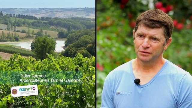 Moins de phytos en arboriculture