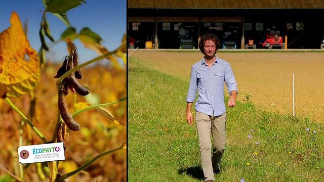 Réduction des herbicides : Chercheurs et agriculteurs sont complémentaires