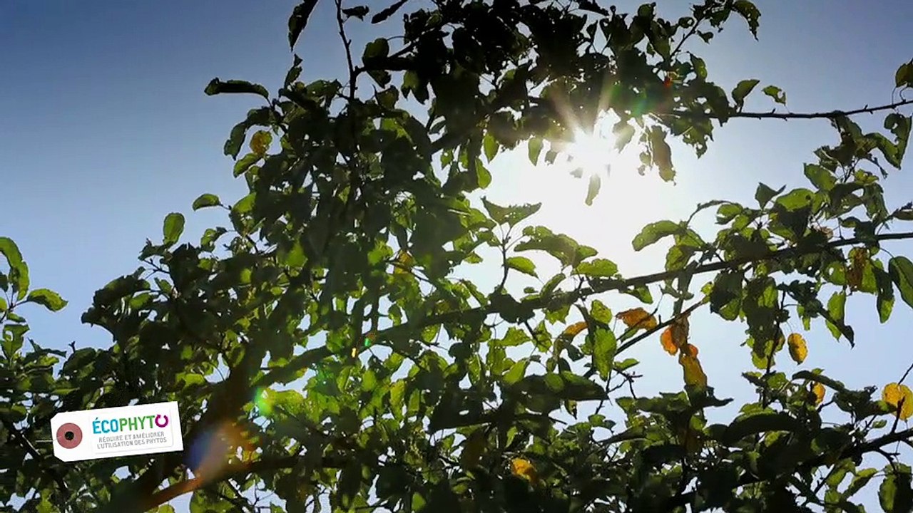 Application du plan Ecophyto au lycée agricole de la Saussaye