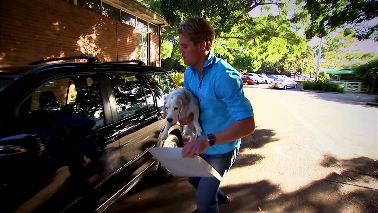 Bondi Vet: S01E03