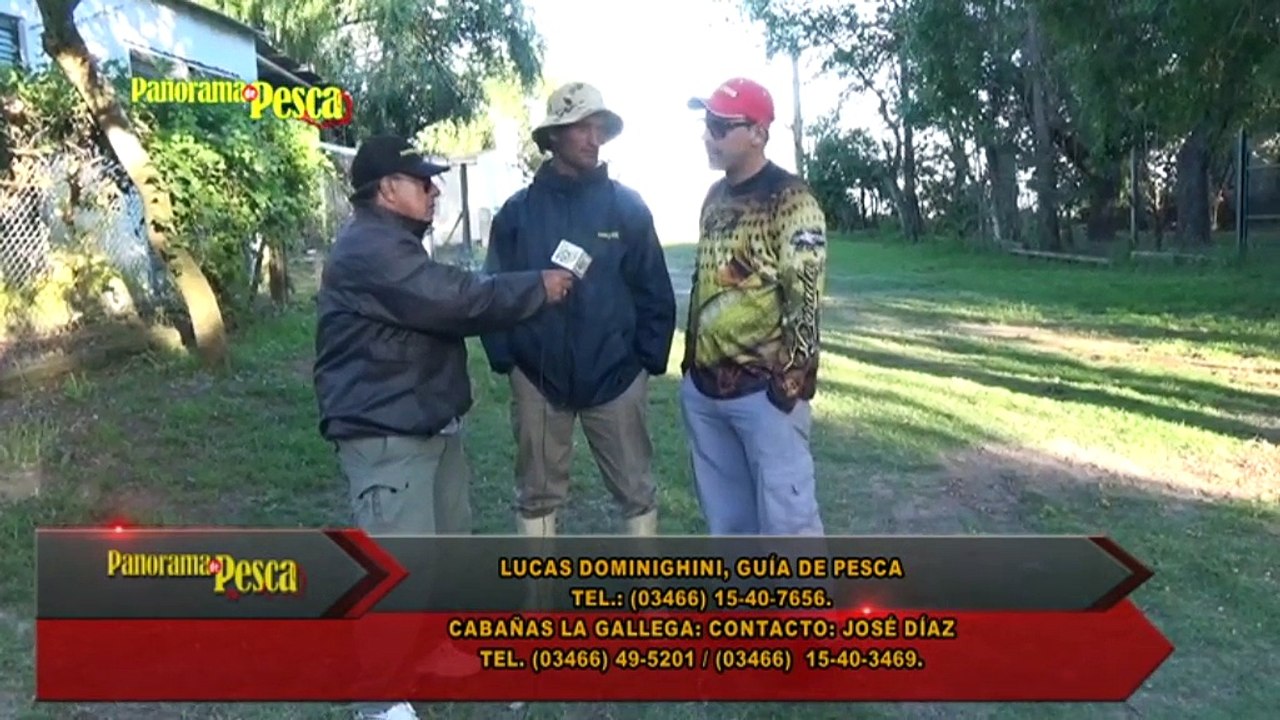 Panorama TV 309