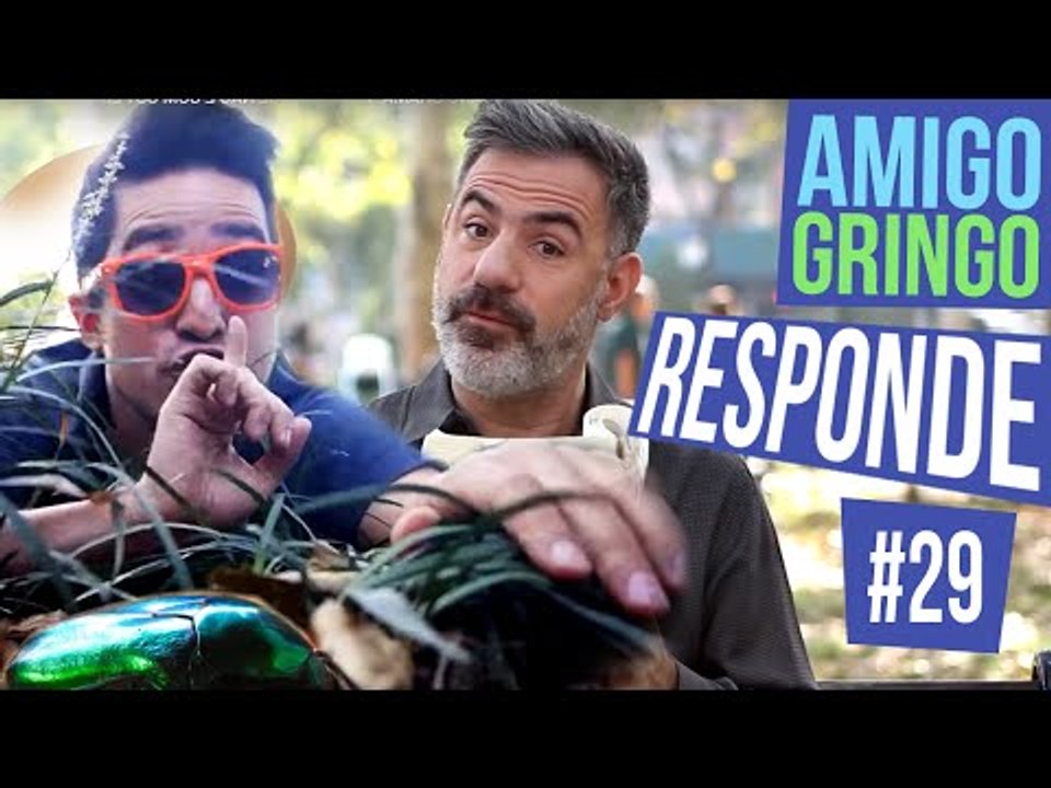 POR QUE FUTEBOL AMERICANO CHAMA "FOOTBALL" SE NÃO É COM OS PÉS?