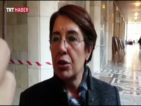 Bahçekapılı, Almanya ziyareti sırasında yaşadıklarını anlattı