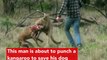 Man Punches A Kangaroo In The Face To Rescue His Dog