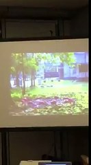 akash daky na (আকাশ ডাকে না)