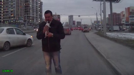 Un chaton frôle la mort en Russie.