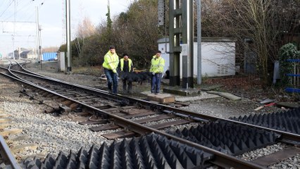 Pose d’un tapis “anti-trespassing” pour décourager les marcheurs à se promener le long des voies